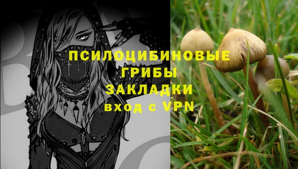 mix Белокуриха