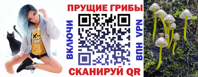 Галлюциногенные грибы прущие грибы  Тулун 